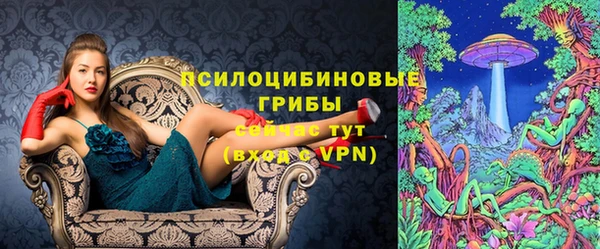 мдпв Весьегонск