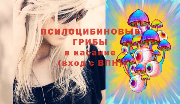 мдпв Весьегонск