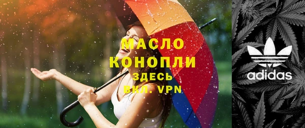 мдпв Весьегонск