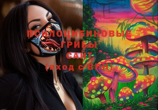 мдпв Весьегонск