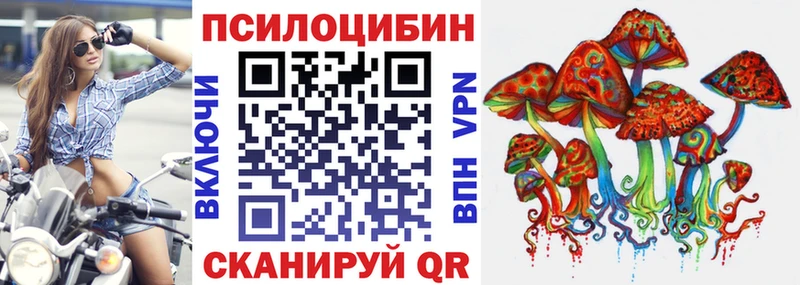 Псилоцибиновые грибы Psilocybe Вязники